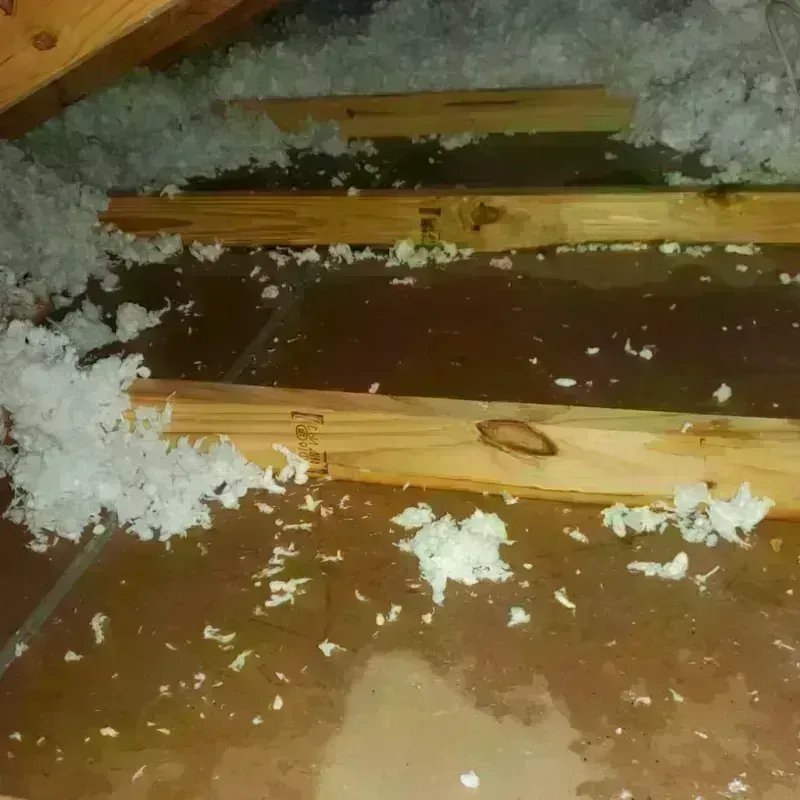 Attic Water Damage in Assumption Parish, LA